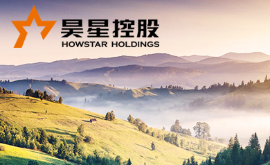 昊星投資