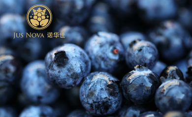 諾華世